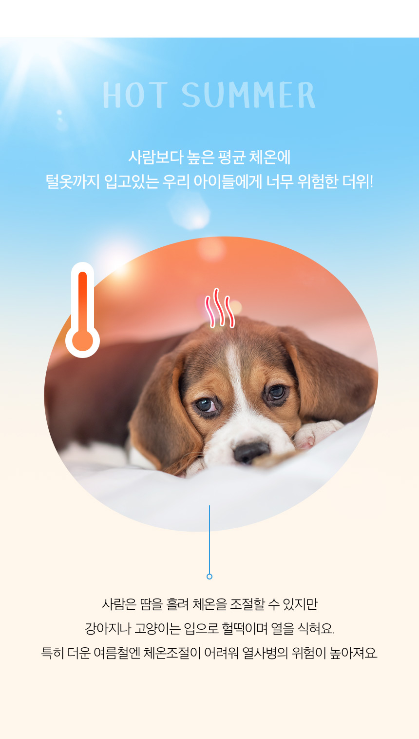 [NEW신상][무료배송] 페리가토 방석 쿨젤매트 2번째