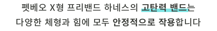 [무료배송] 펫베오 프리밴드 X형 하네스 가슴줄 핑크/소라/카키/블랙 S-XL 12번째