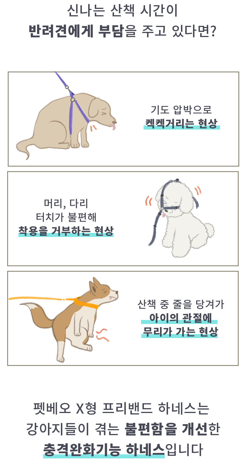 [무료배송] 펫베오 프리밴드 X형 하네스 가슴줄 핑크/소라/카키/블랙 S-XL 11번째