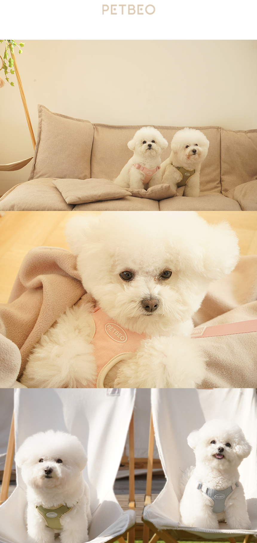 [무료배송] 펫베오 프리밴드 X형 하네스 가슴줄 핑크/소라/카키/블랙 S-XL 8번째