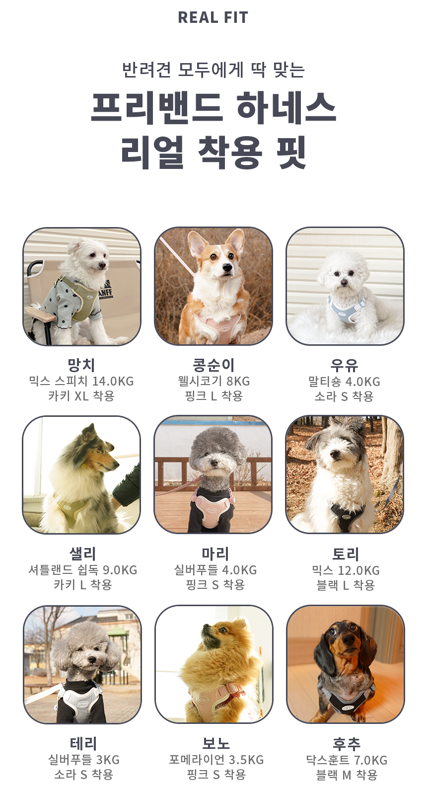 [무료배송] 펫베오 프리밴드 X형 하네스 가슴줄 핑크/소라/카키/블랙 S-XL 27번째