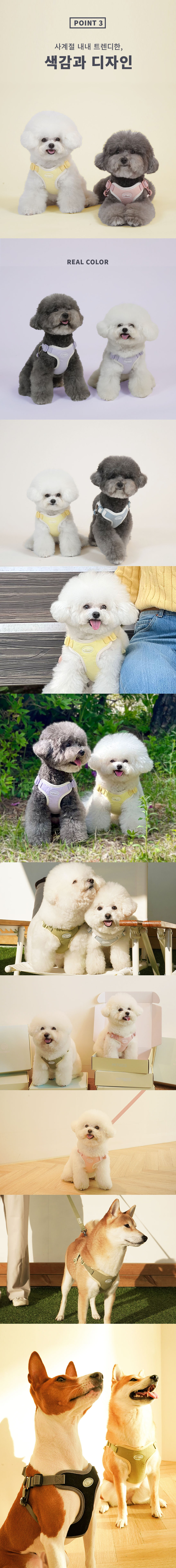 [무료배송] 펫베오 프리밴드 X형 하네스 가슴줄 핑크/소라/카키/블랙 S-XL 32번째