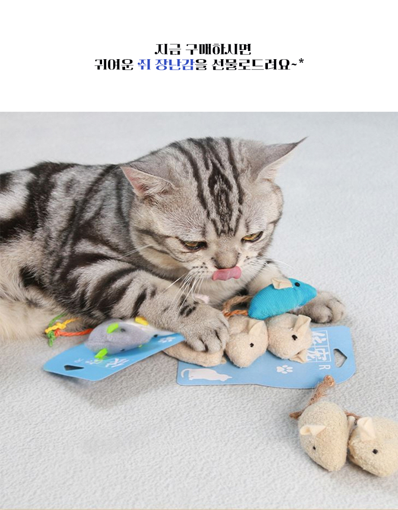 [무료배송] 예보들 선인장 스크래쳐 캣타워 1번째
