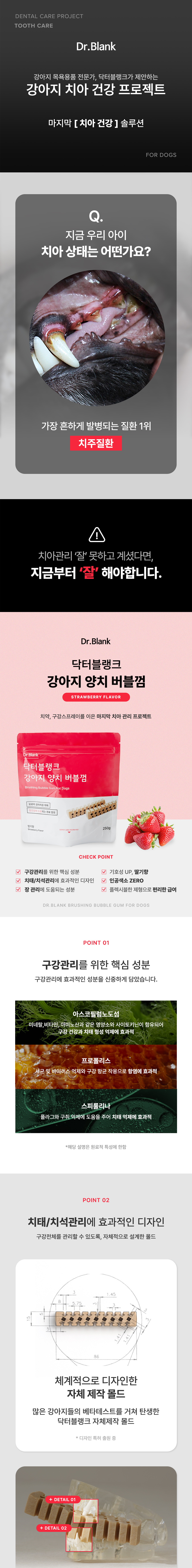 [무료배송] 닥터블랭크 독 양치버블껌 딸기향 250g 1번째