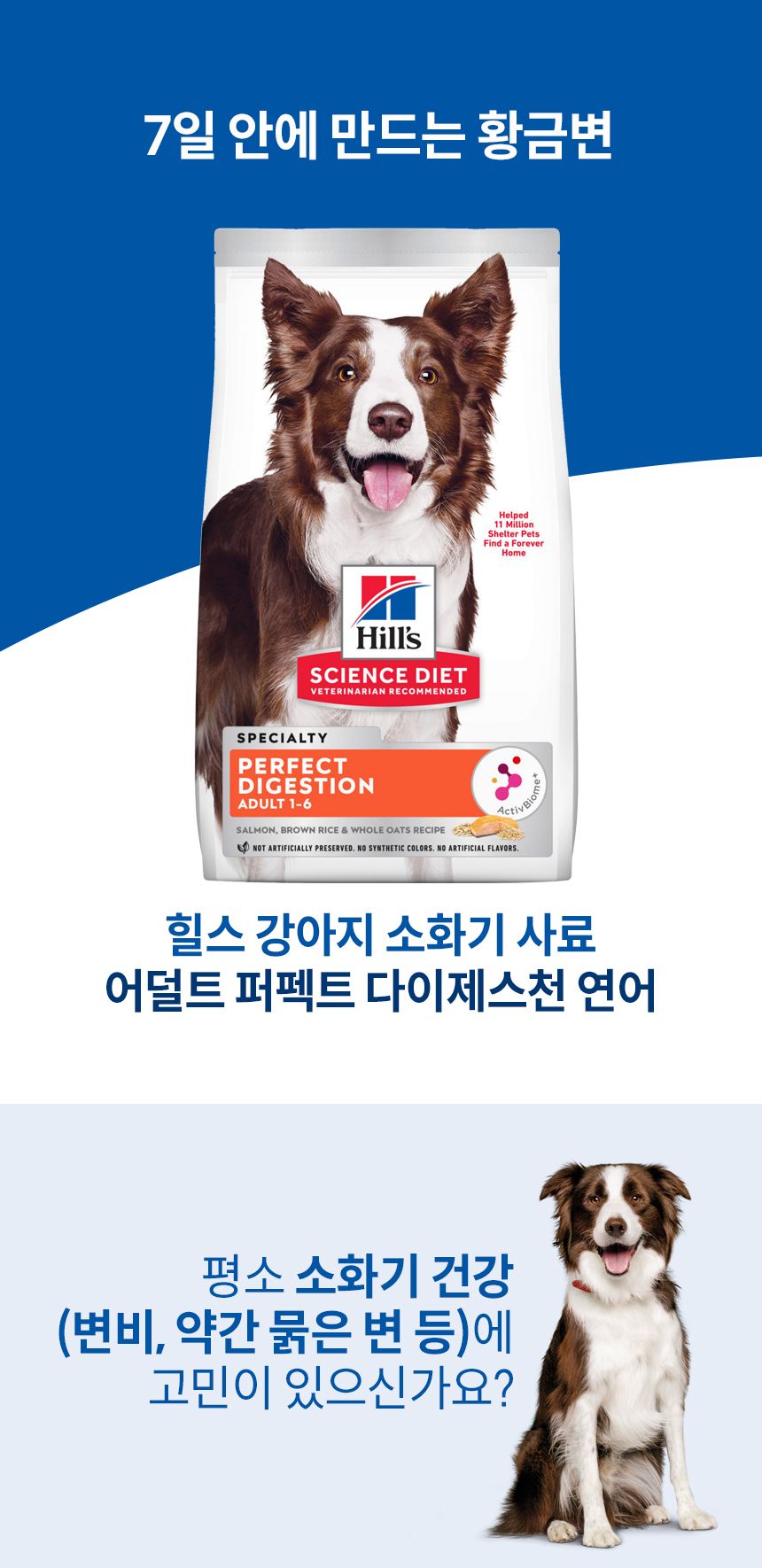 힐스 독 퍼펙트 다이제스쳔 어덜트 1+ 연어 1.6kg 1번째