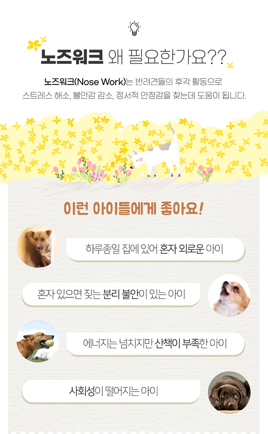 [무료배송] 크림펫 노즈워크 간식 농장 당근/딸기//파인애플/토끼 S-M 2번째