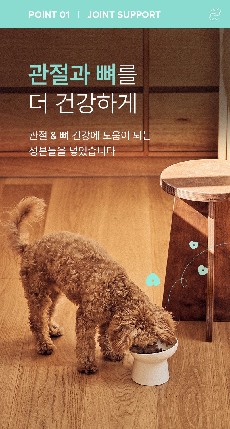 더마독 관절 체중조절 사료 2kg 3번째