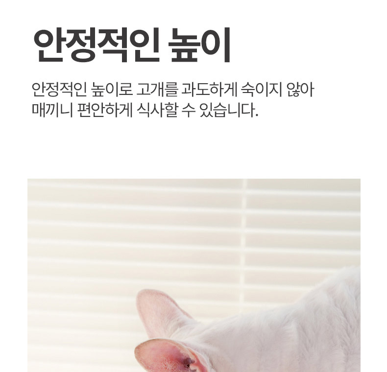 [NEW신상][무료배송] 펫볼루션 고양이 발 모양 식기 (블랙/화이트/옐로우) 5번째