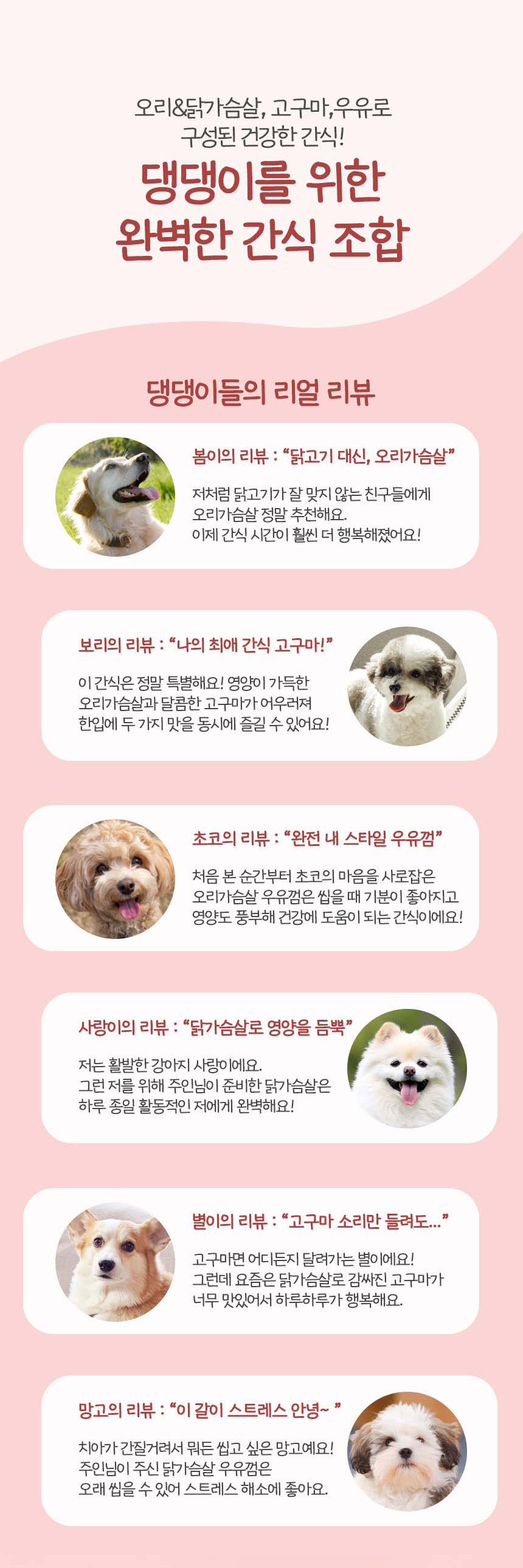 [무료배송] [유통기한임박, 26년04월27일] 펫토리아 뚝딱뚝딱 강아지 육포 간식 대용량 3종 콤보 1kg (치킨/오리) 15번째