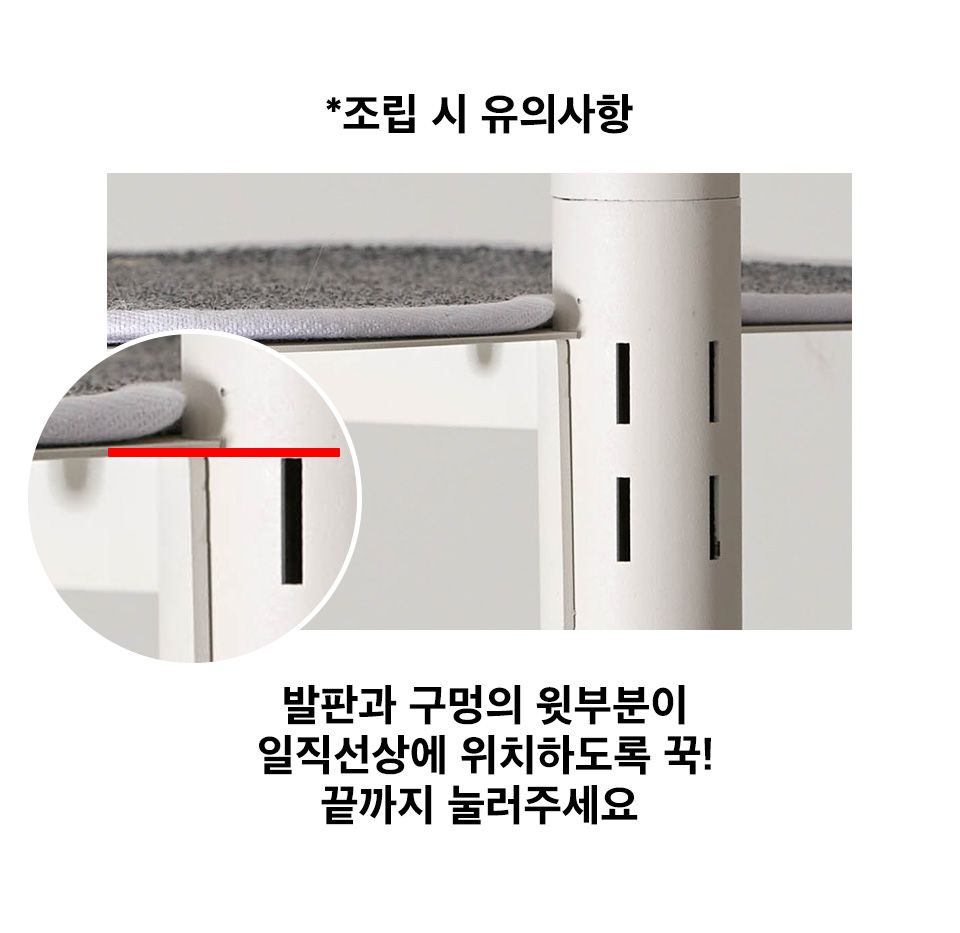 김명철 수의사가 만든 ㅁㅊ홀캣폴 11번째