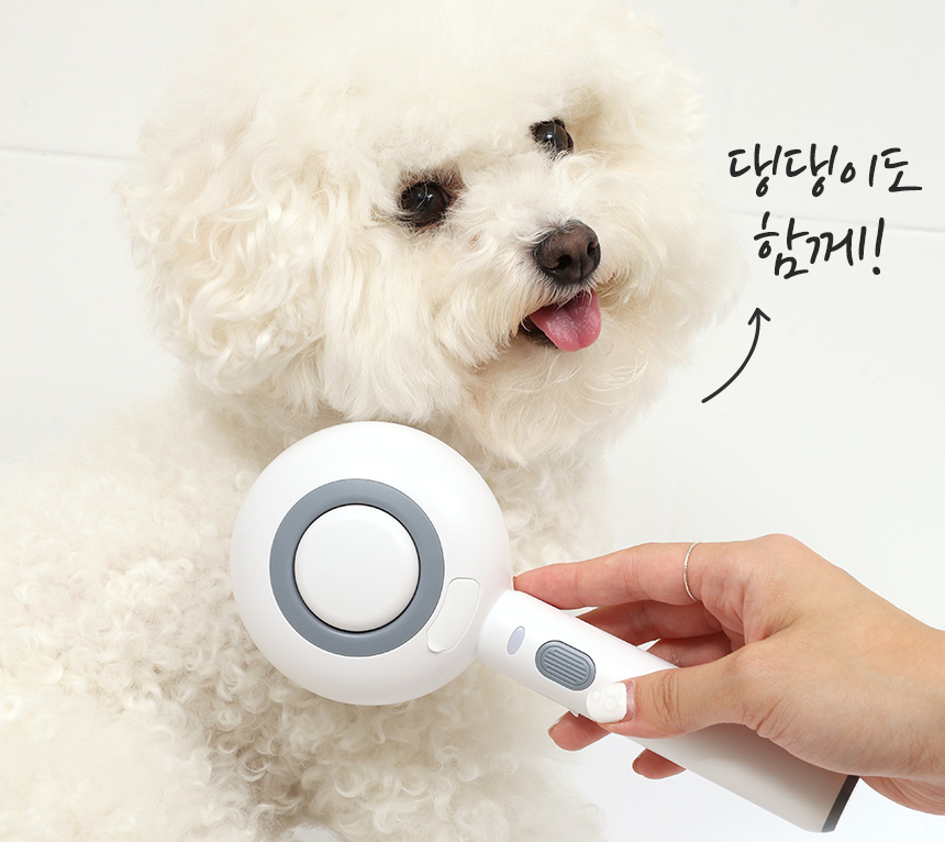 [무료배송] 펫토리아 롤리팝 원터치 고양이 강아지 스팀 브러쉬 30번째