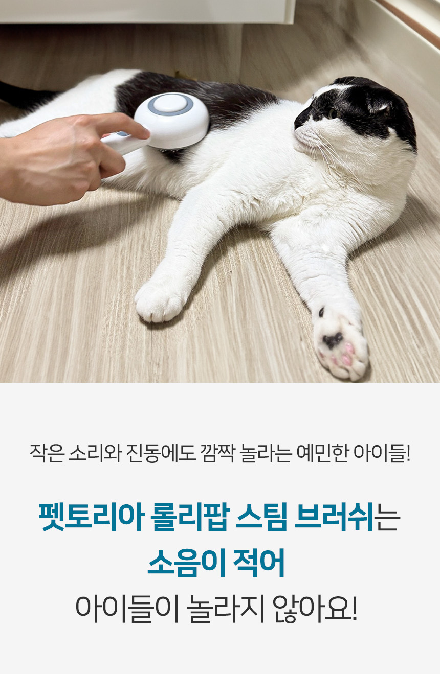 [무료배송] 펫토리아 롤리팝 원터치 고양이 강아지 스팀 브러쉬 34번째