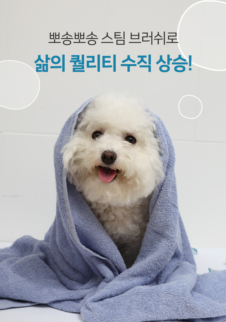 [무료배송] 펫토리아 롤리팝 원터치 고양이 강아지 스팀 브러쉬 16번째