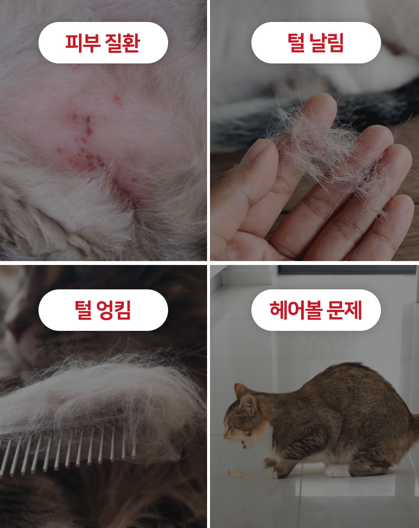 [무료배송] 펫토리아 롤리팝 원터치 고양이 강아지 스팀 브러쉬 5번째