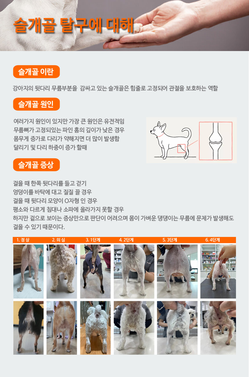 [무료배송] 아임펫벳 독 의료용 다리보호대 숏/롱 S-XL 3번째