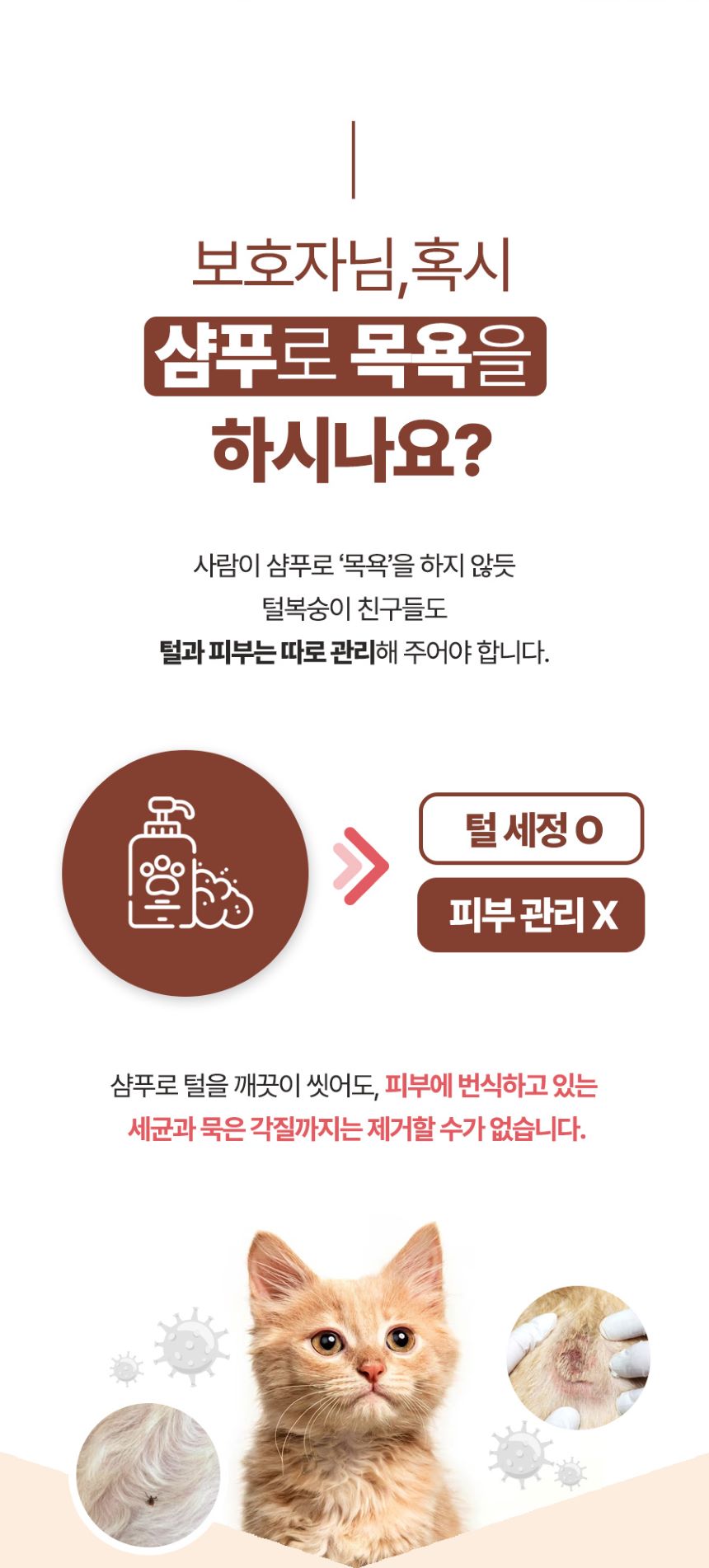 [무료배송] 올더퍼리 캣 어반 그리너리 컴포팅 스파 샴푸 300ml 5번째