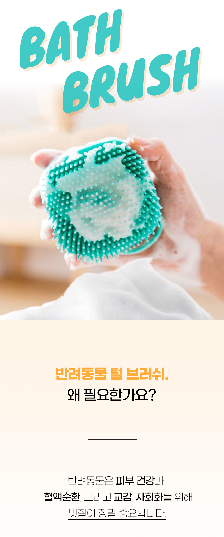 [NEW신상][무료배송] [4개] [색상 랜덤] 개과천선 배스 브러쉬 1번째