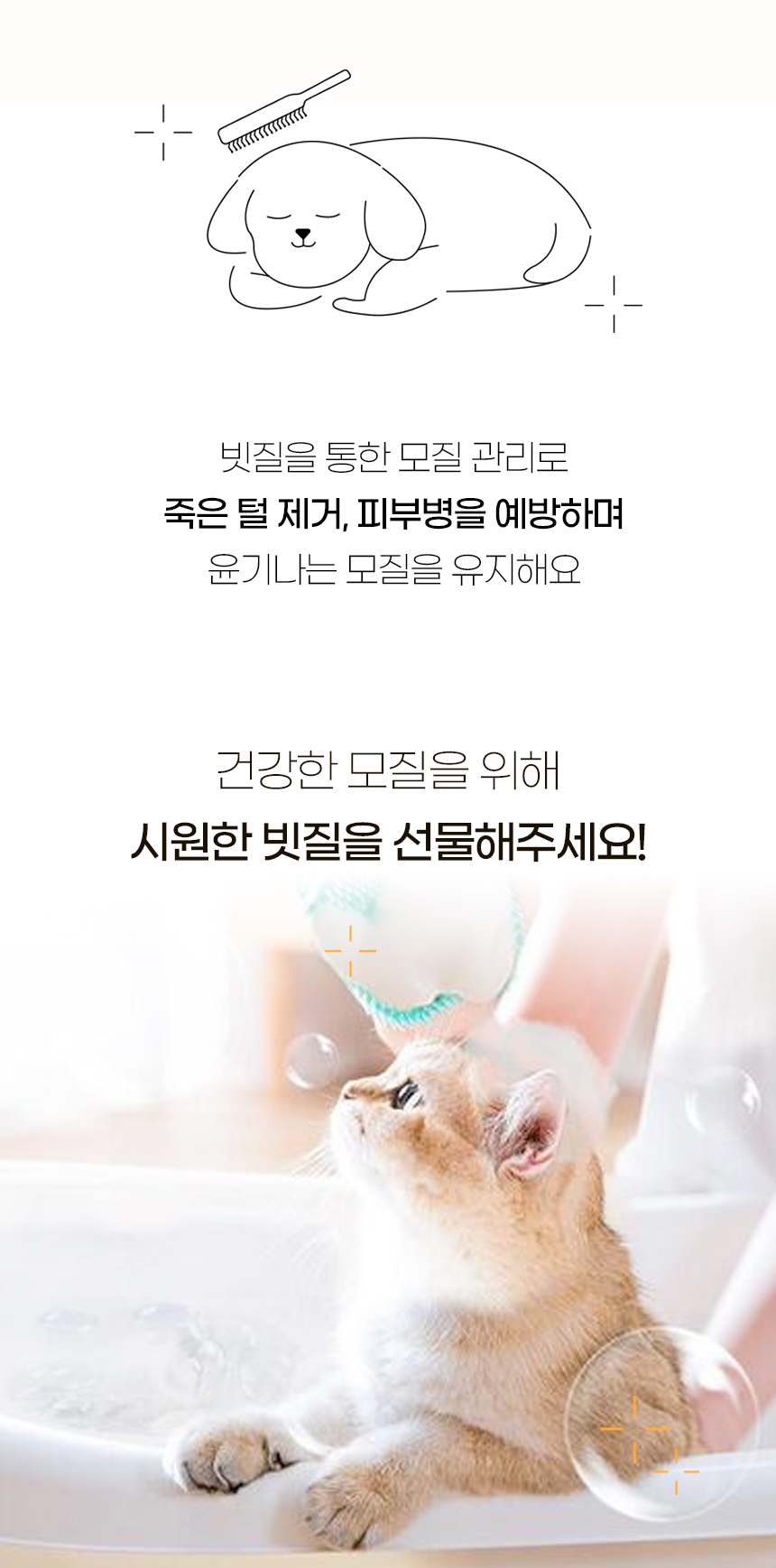 [NEW신상][무료배송] [4개] [색상 랜덤] 개과천선 배스 브러쉬 2번째
