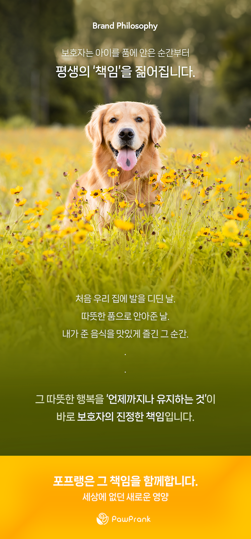 [NEW신상][무료배송] 포프랭 식이섬유 영양제 젤리루틴 BCS 5/9 30포 40번째