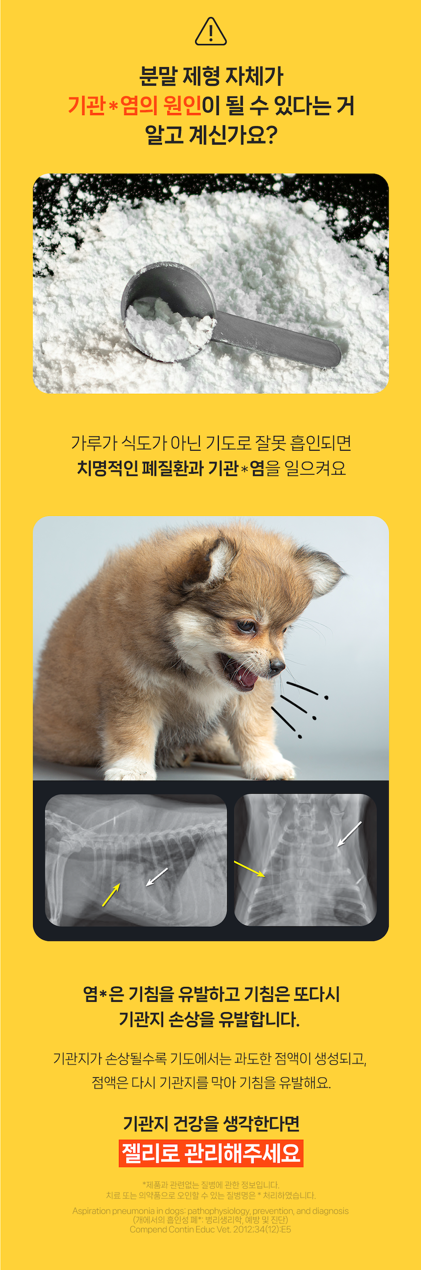 [NEW신상][무료배송] 포프랭 식이섬유 영양제 젤리루틴 BCS 5/9 30포 36번째