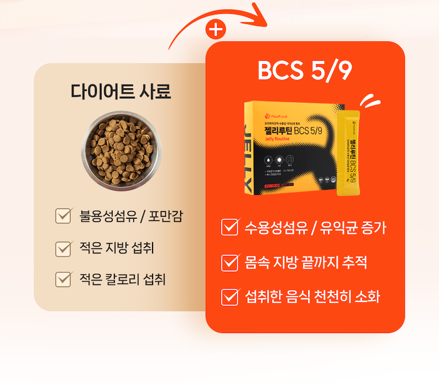 [NEW신상][무료배송] 포프랭 식이섬유 영양제 젤리루틴 BCS 5/9 30포 34번째
