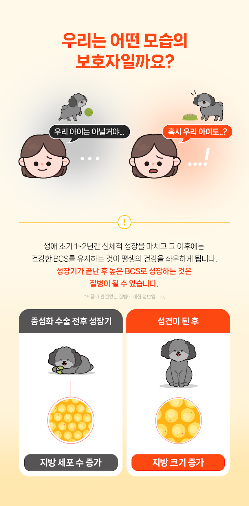 [NEW신상][무료배송] 포프랭 식이섬유 영양제 젤리루틴 BCS 5/9 30포 11번째