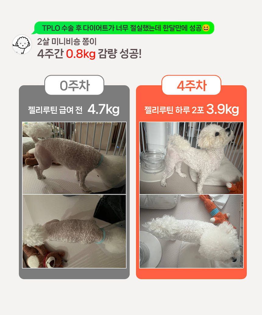 [NEW신상][무료배송] 포프랭 식이섬유 영양제 젤리루틴 BCS 5/9 30포 8번째