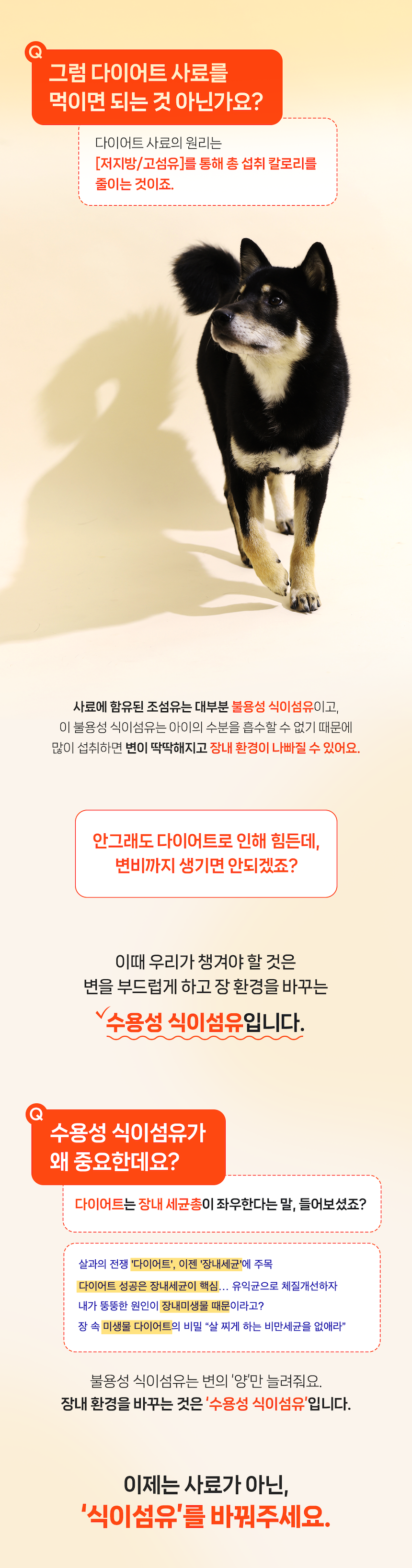 [NEW신상][무료배송] 포프랭 식이섬유 영양제 젤리루틴 BCS 5/9 30포 12번째