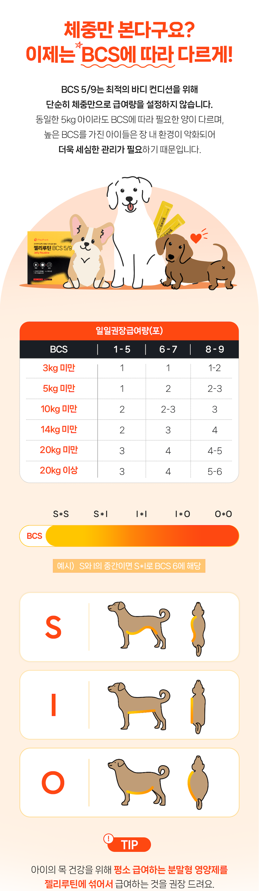 [NEW신상][무료배송] 포프랭 식이섬유 영양제 젤리루틴 BCS 5/9 30포 37번째