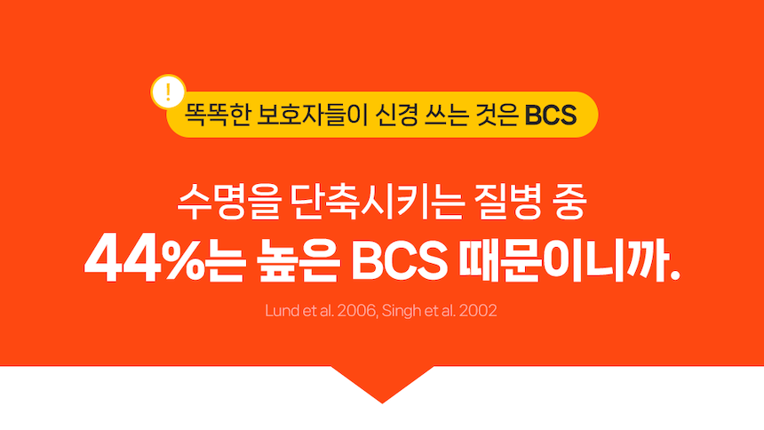 [NEW신상][무료배송] 포프랭 식이섬유 영양제 젤리루틴 BCS 5/9 30포 9번째