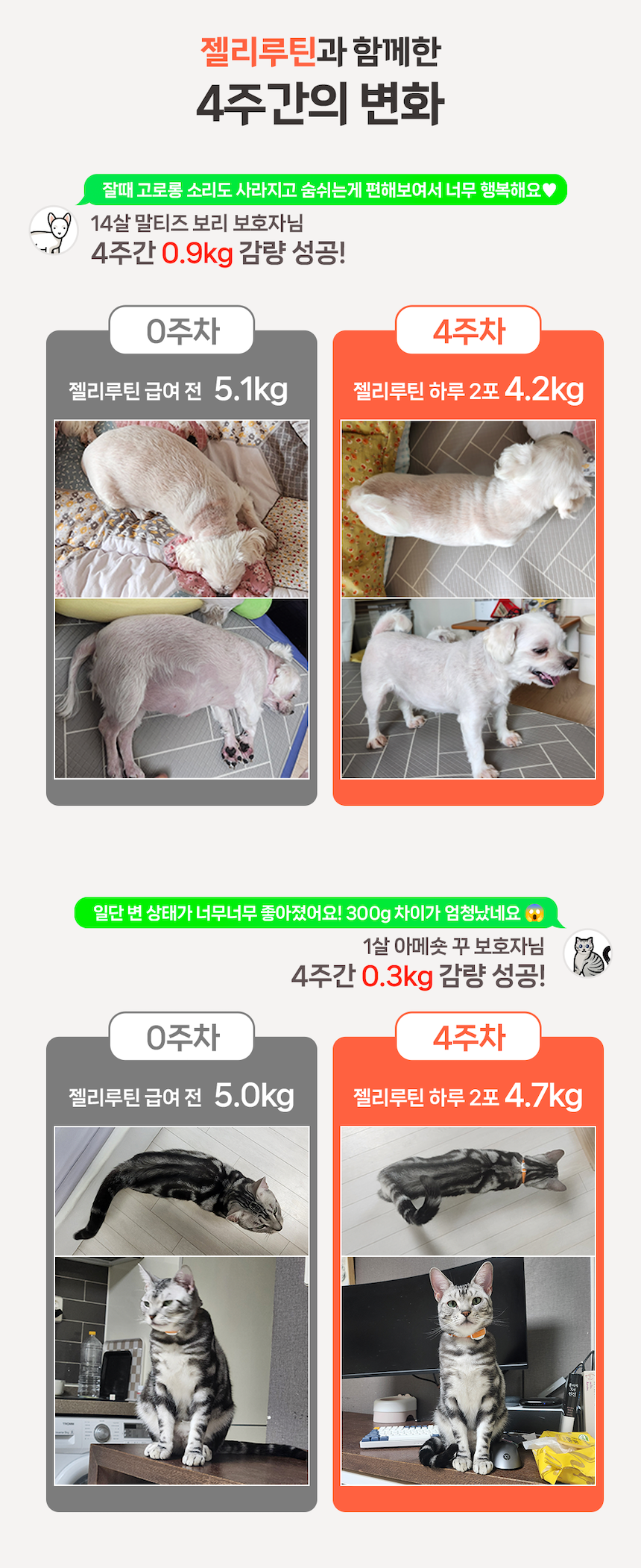 [NEW신상][무료배송] 포프랭 식이섬유 영양제 젤리루틴 BCS 5/9 30포 7번째