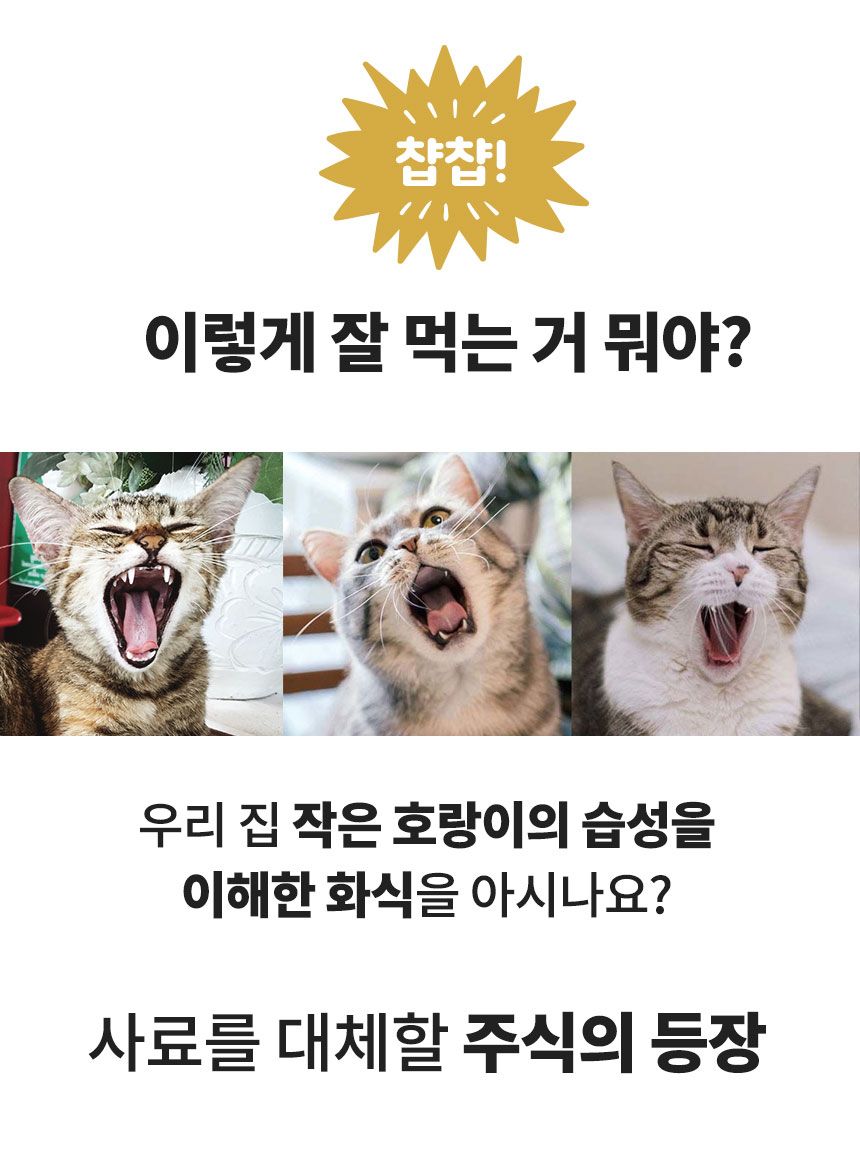 [무료배송][3개] 하이독 캣 토빈즈챱 3종 세트 2번째
