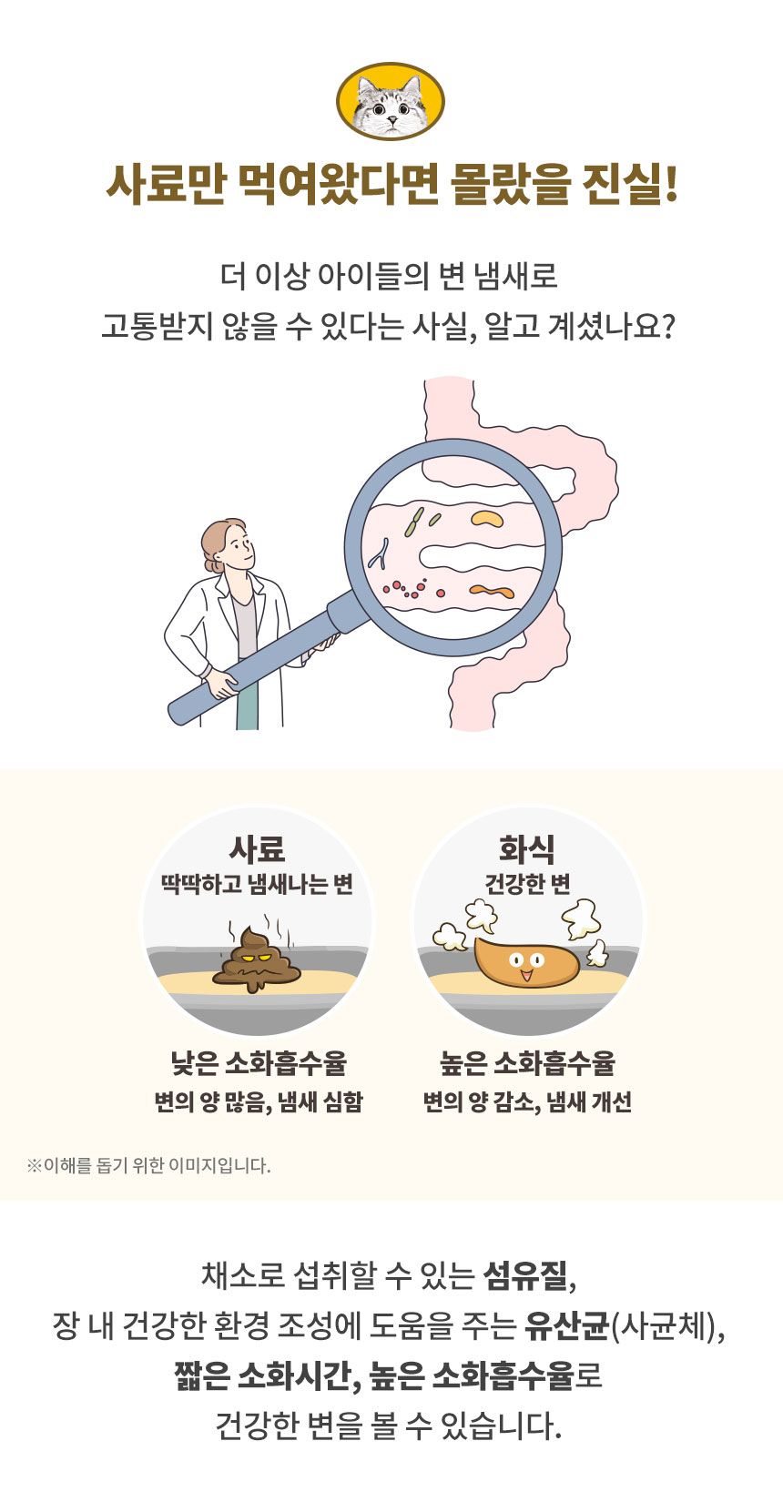 [무료배송][3개] 하이독 캣 토빈즈챱 3종 세트 12번째