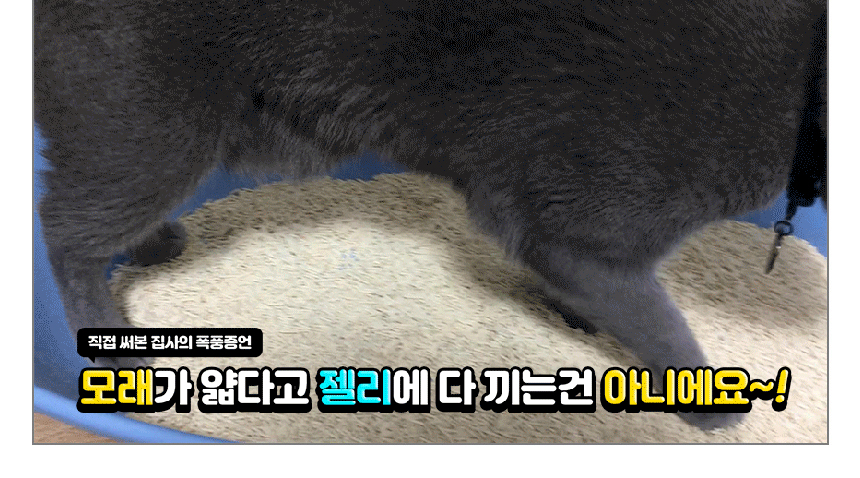 [무료배송] 펫토리아 한삽뚝딱 프리미엄 유향 고양이 두부모래 4종 [모음] 17번째