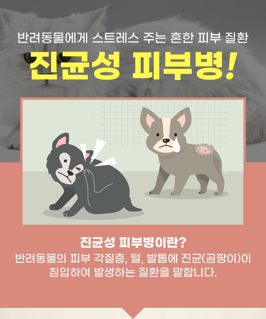 [무료배송] 뉴메디션 포 스킨 60g 4번째
