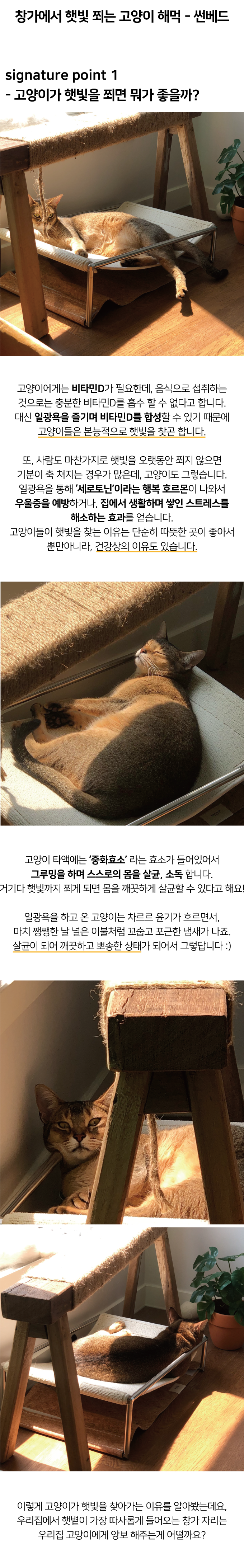 집에가야돼 고양이 해먹 썬베드 5번째