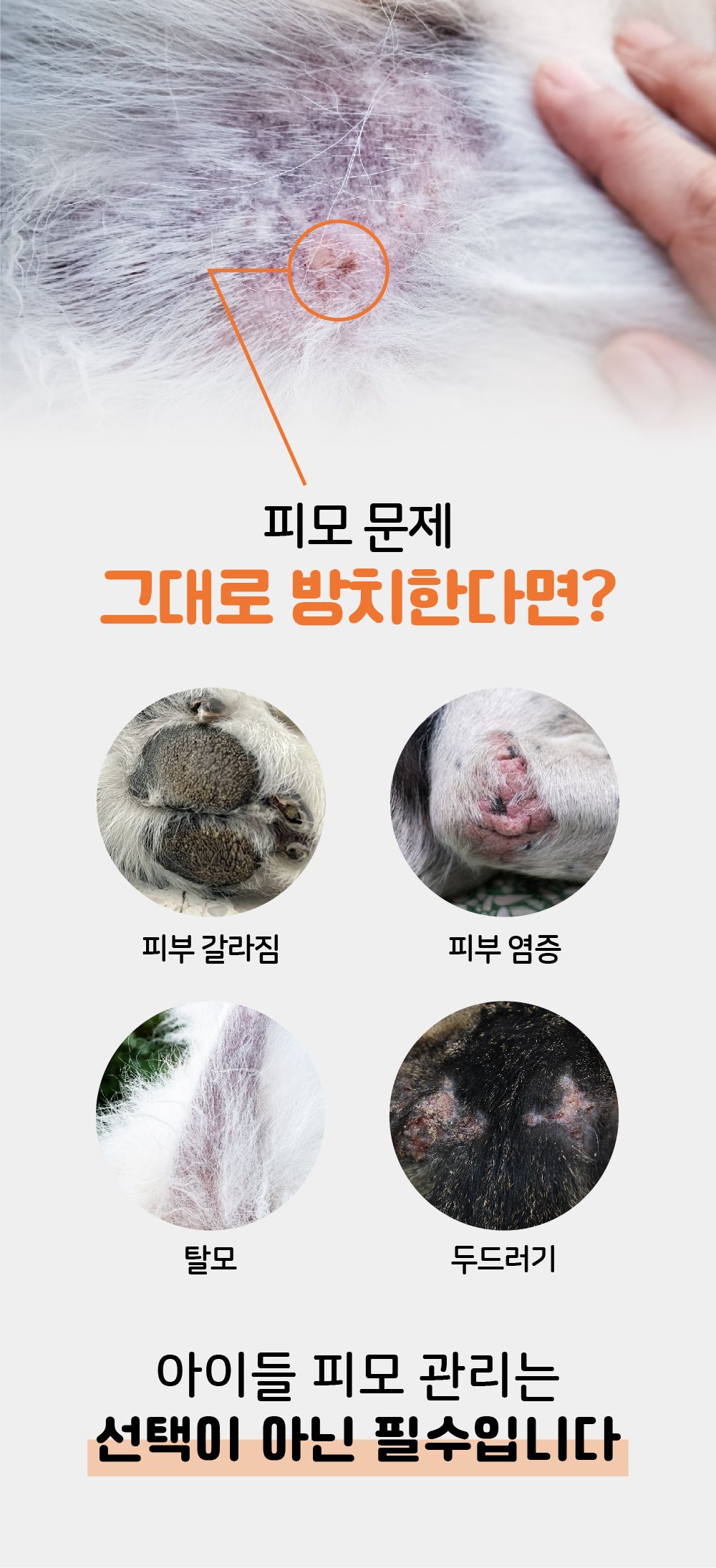 [무료배송] 리스펫 스킨케어 시카 수딩크림 40ml 3번째