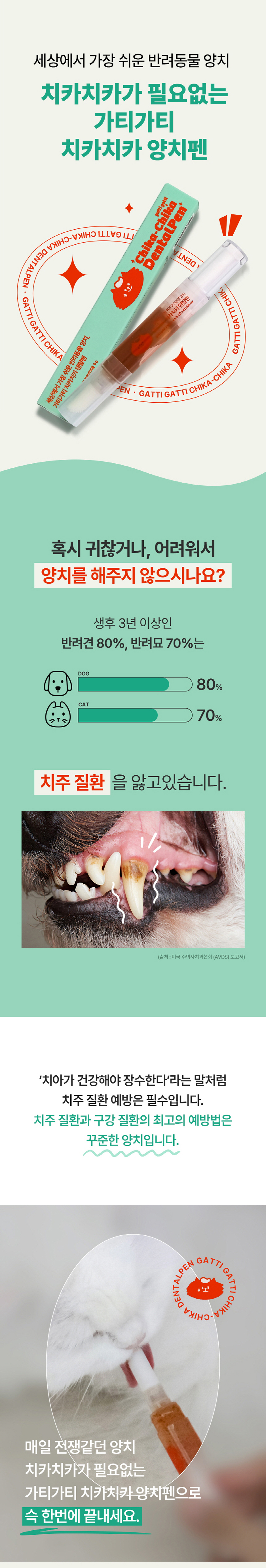 [창고대방출] 가티가티 치카치카 덴탈펜 1번째