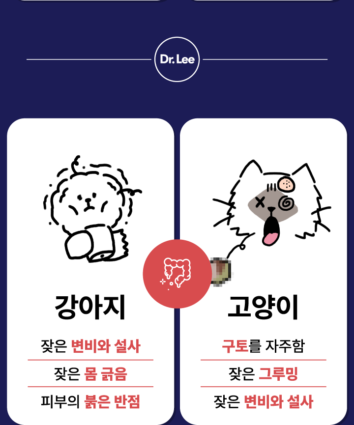 [NEW신상][무료배송] 닥터리 프리미엄 피부&장 건강 영양제 30캡슐 2번째