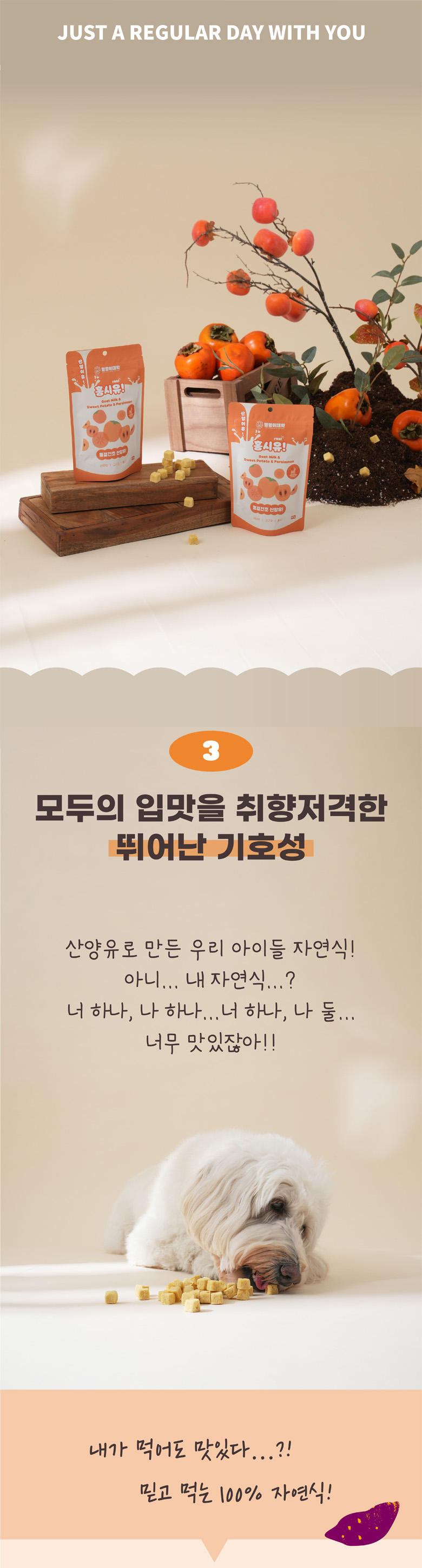 [NEW신상][무료배송] 멍멍이대학 동결건조 산양유 홍시 50g 11번째