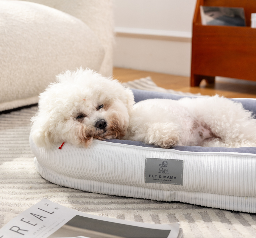 [NEW신상][무료배송] 펫앤마마 마약방석 3종 (화이트/오렌지/블루) M~2XL 3번째