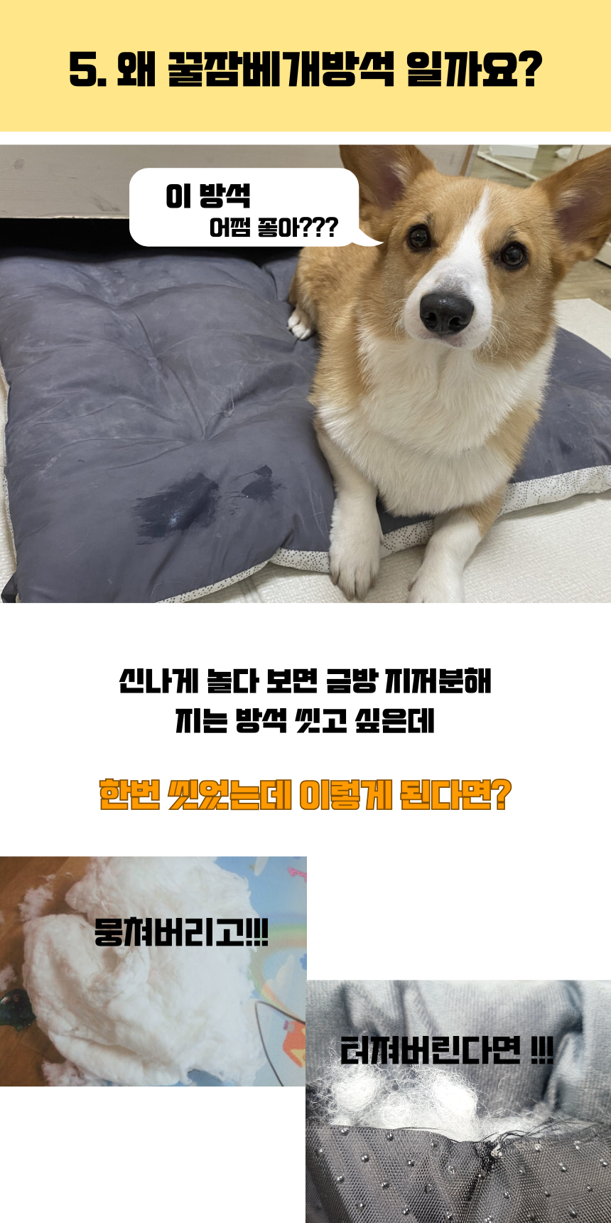 [NEW신상][무료배송] 펫앤마마 마약방석 3종 (화이트/오렌지/블루) M~2XL 10번째