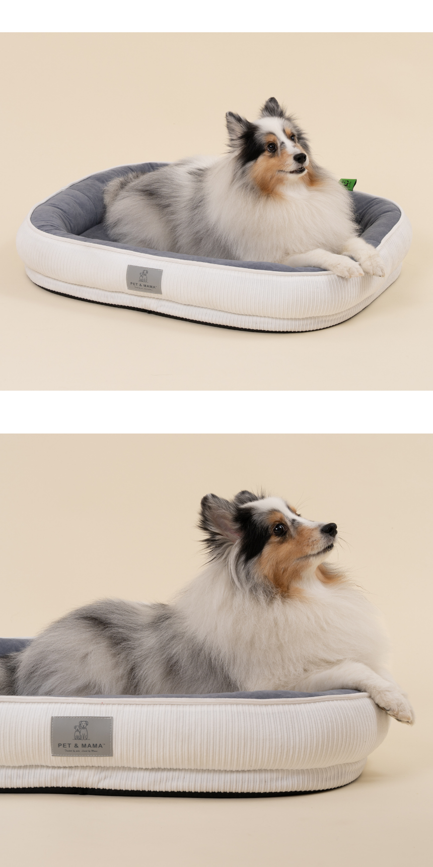 [NEW신상][무료배송] 펫앤마마 마약방석 3종 (화이트/오렌지/블루) M~2XL 16번째