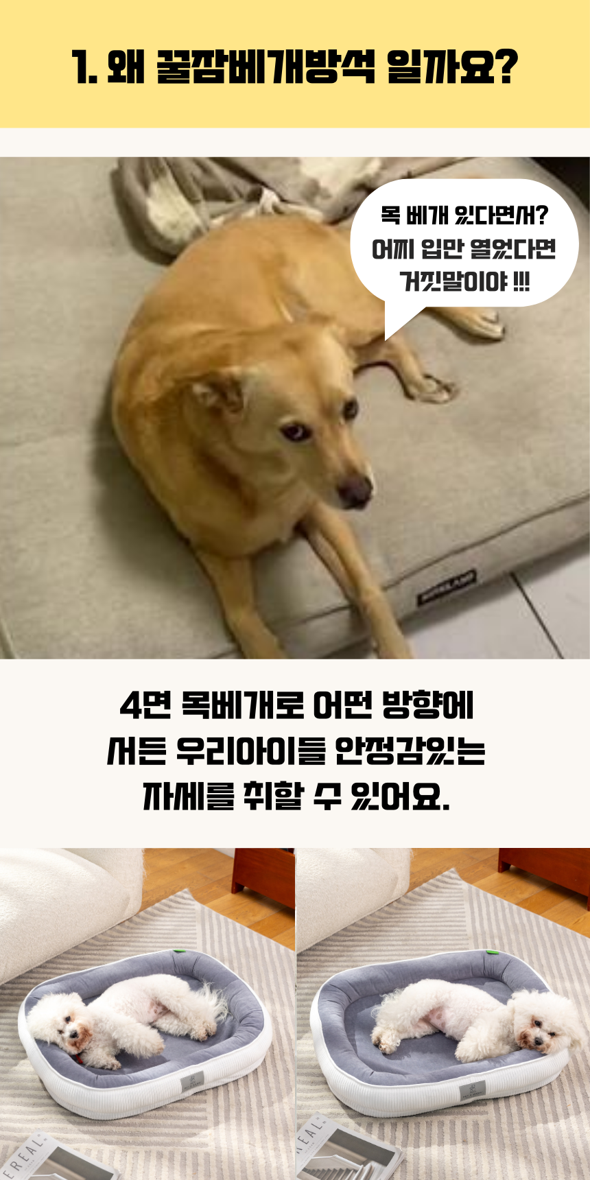 [NEW신상][무료배송] 펫앤마마 마약방석 3종 (화이트/오렌지/블루) M~2XL 5번째