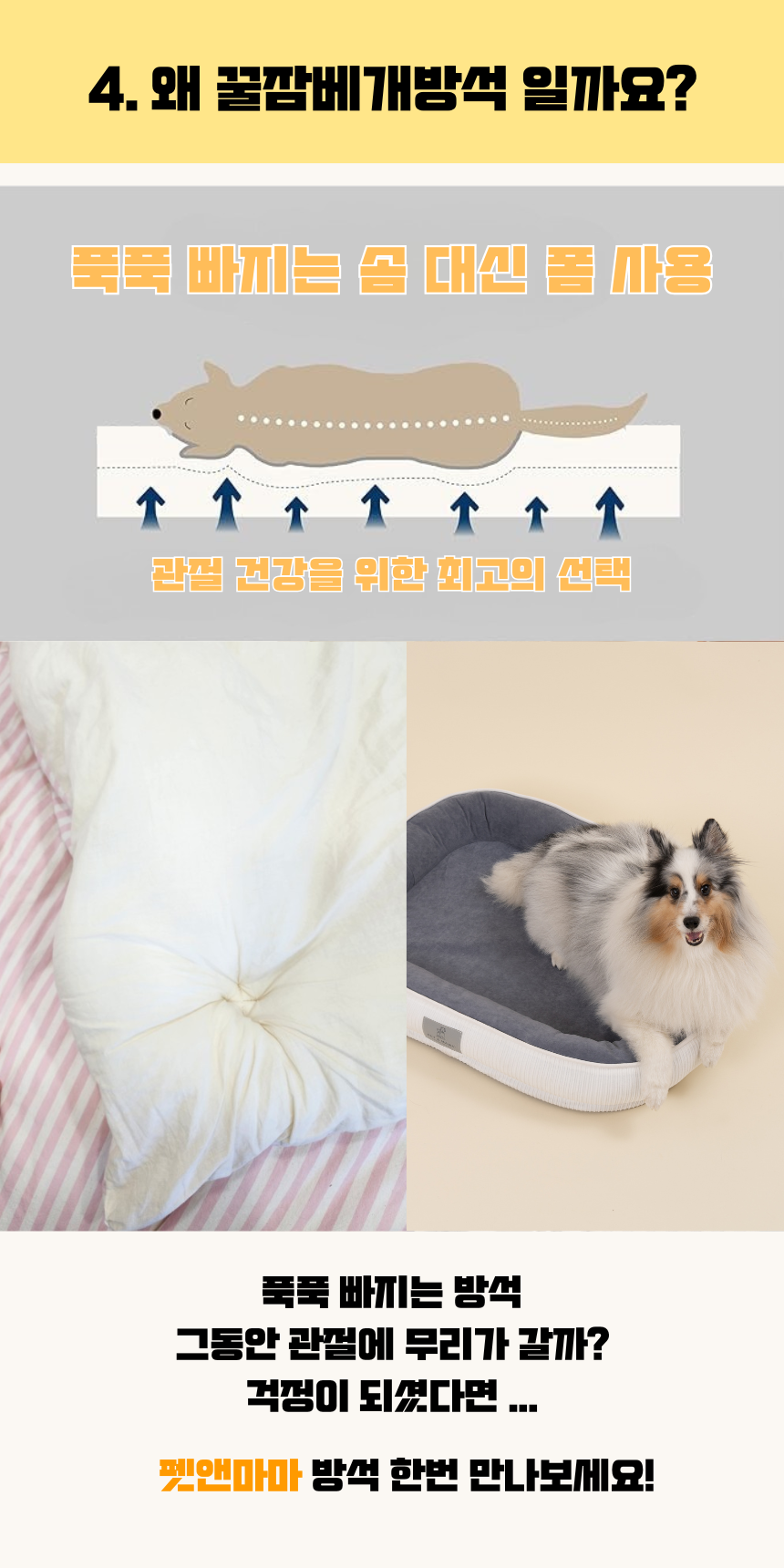 [NEW신상][무료배송] 펫앤마마 마약방석 3종 (화이트/오렌지/블루) M~2XL 9번째