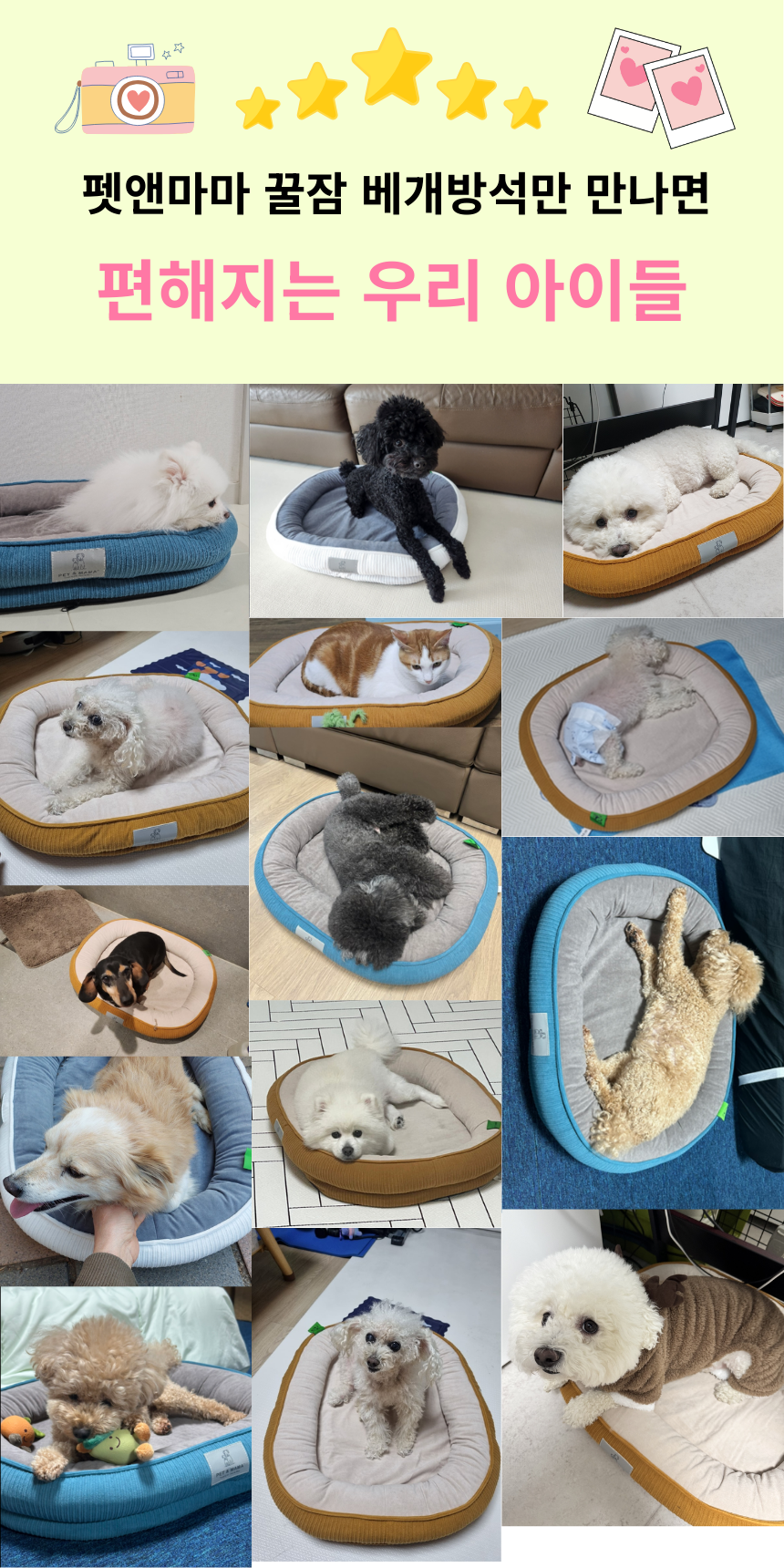 [NEW신상][무료배송] 펫앤마마 마약방석 3종 (화이트/오렌지/블루) M~2XL 20번째