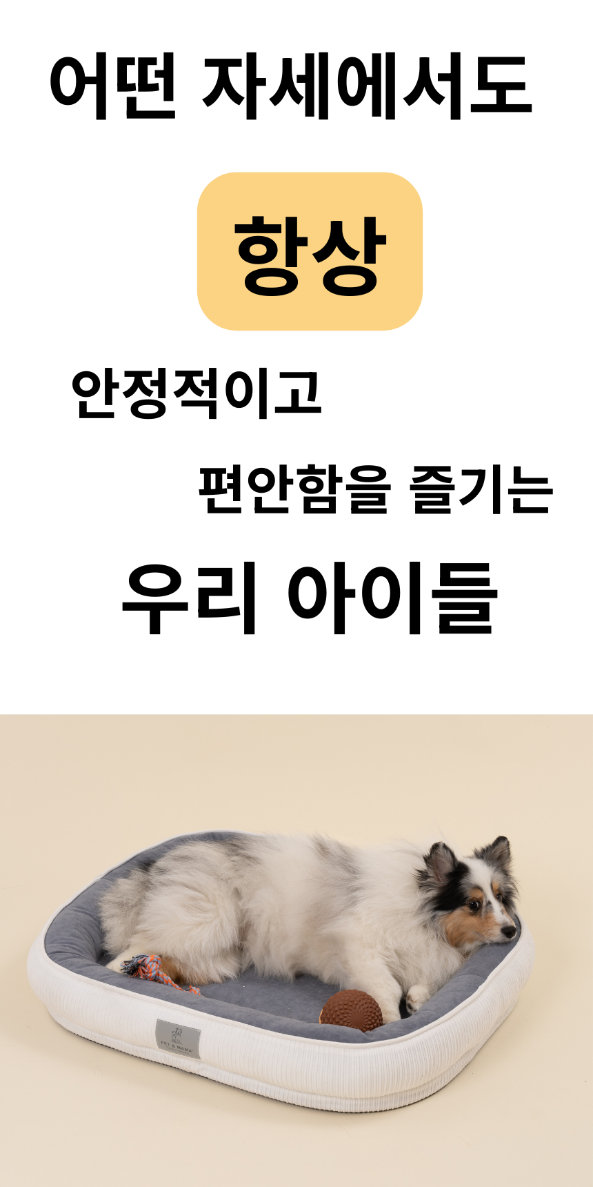 [NEW신상][무료배송] 펫앤마마 마약방석 3종 (화이트/오렌지/블루) M~2XL 15번째