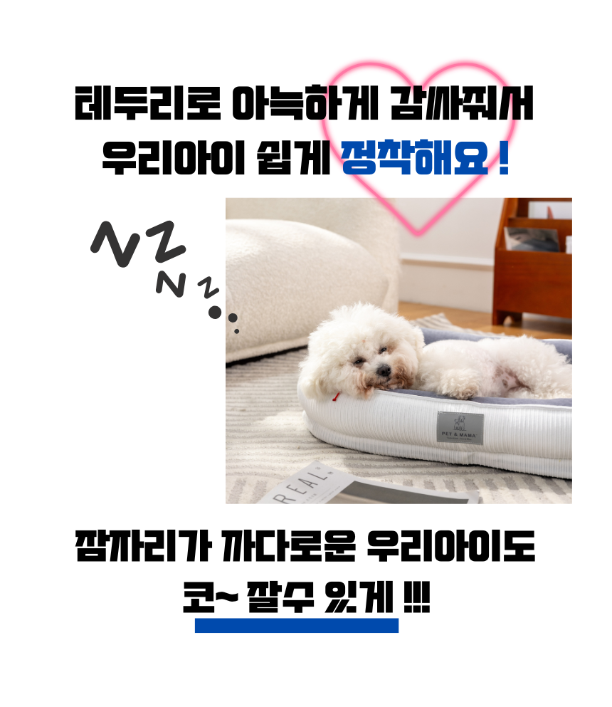 [NEW신상][무료배송] 펫앤마마 마약방석 3종 (화이트/오렌지/블루) M~2XL 7번째