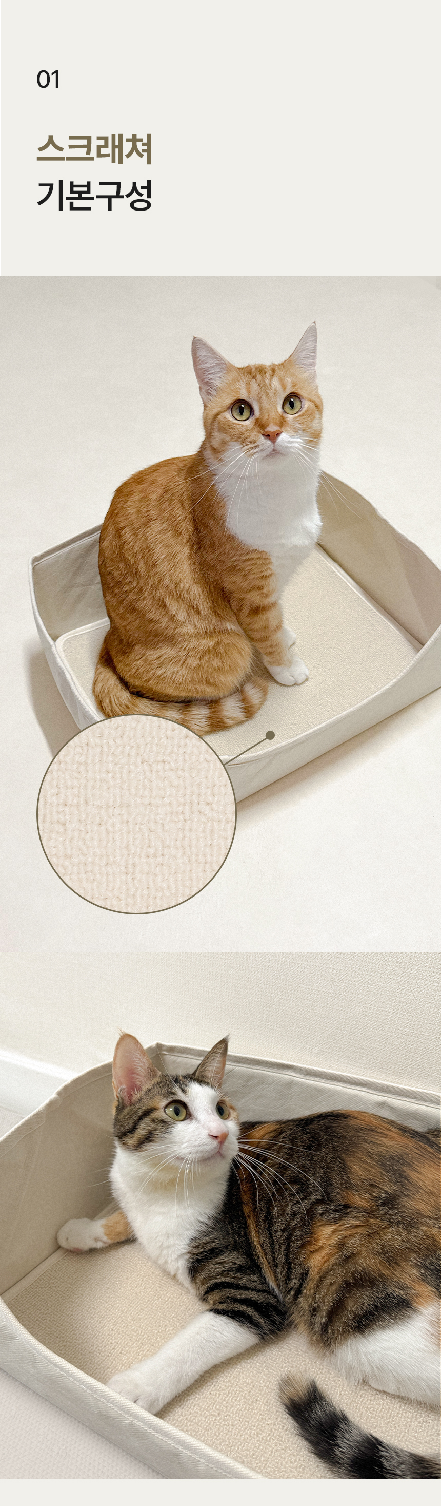 [NEW신상][무료배송] 세이펫 눕눕박스 스크래쳐 4번째