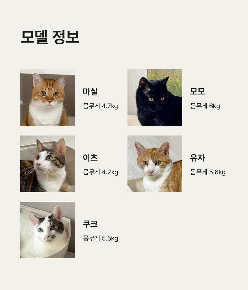 [NEW신상][무료배송] 세이펫 눕눕박스 스크래쳐 14번째